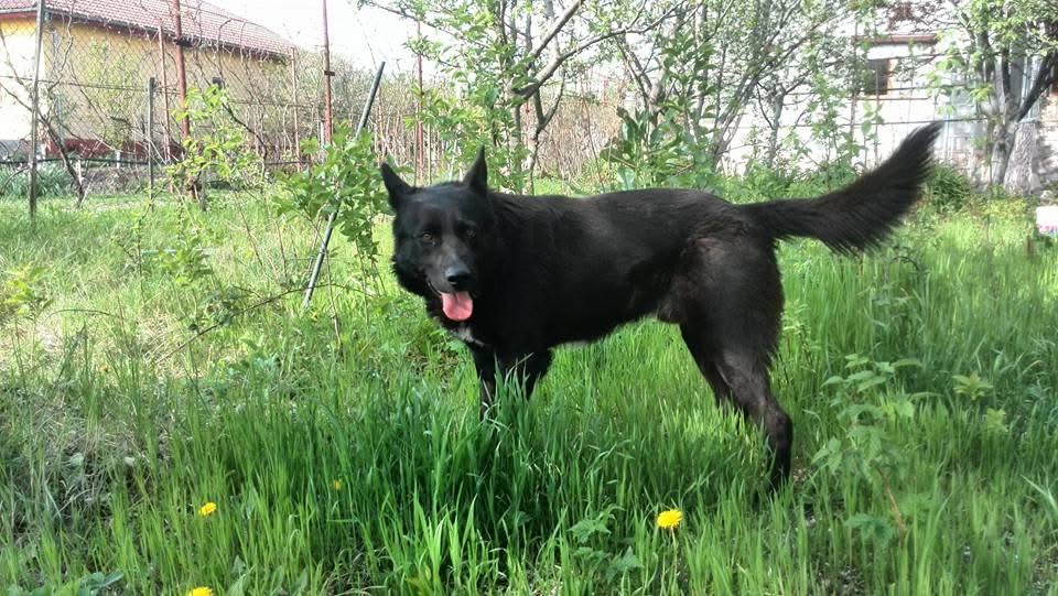 Bild von Nero.